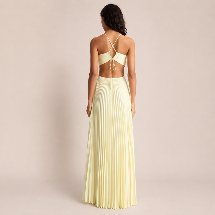 Female model showcasing a sleeveless A-line formal dress on a plain background.
