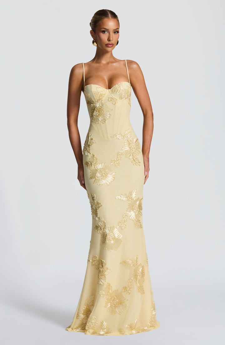 Woman wearing embroidered maxi dress front view on plain background.